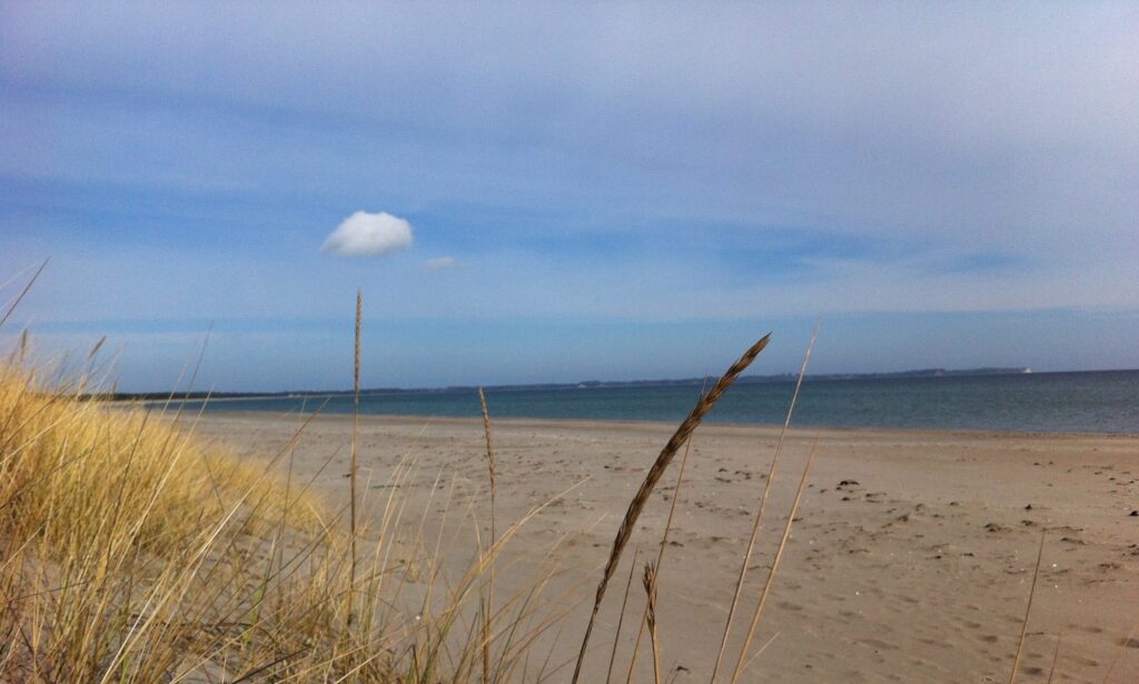 Strand Schaabe Haus Seehund